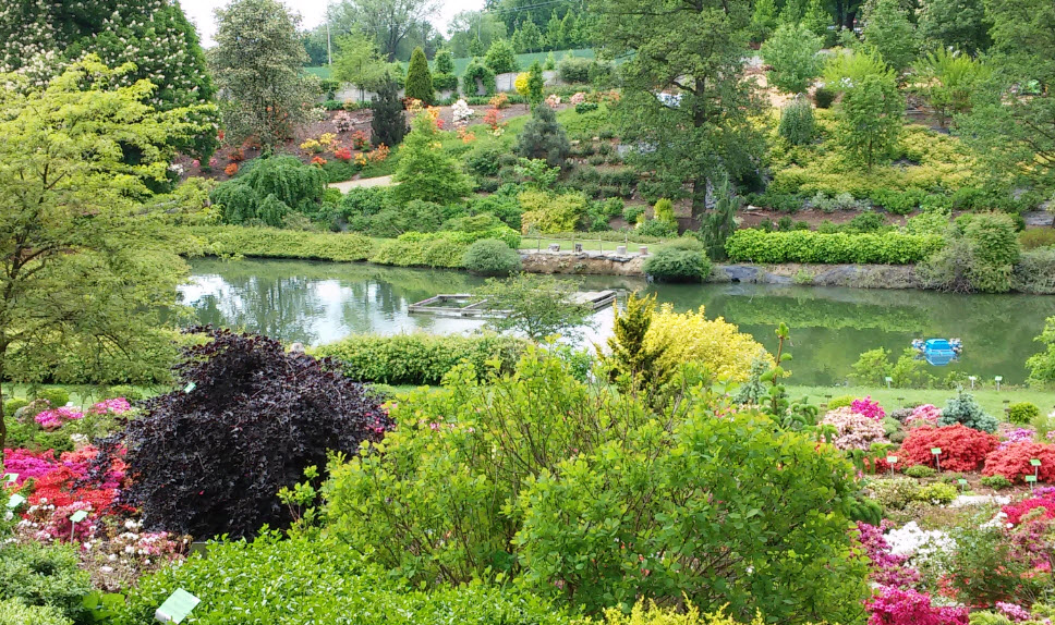 Arboretum Wojsławice, Poland